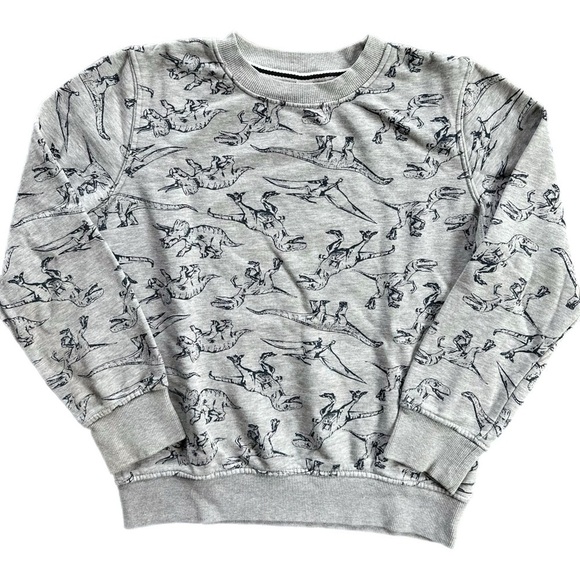 Joe Fresh Boys Grey Dinosaur Crewneck Sweatshirt Size 10-12 - Picture 1 of 5